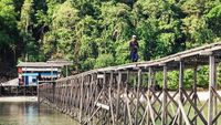 Ada Danau Ubur-ubur Tanpa Sengat di Pulau Kakaban