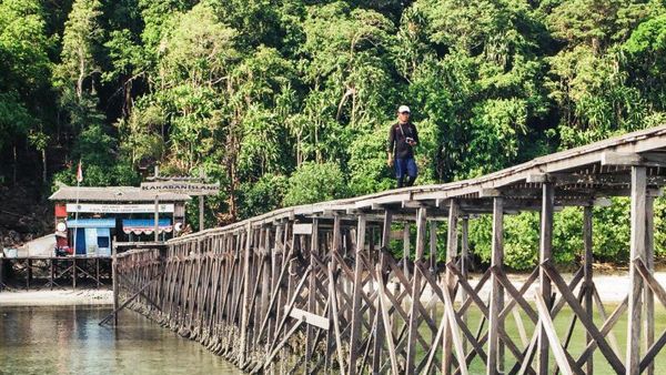 Ada Danau Ubur-ubur Tanpa Sengat di Pulau Kakaban