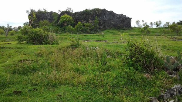 Ada Gua Bawah Tanah Tersembunyi di Utara Madura