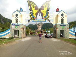 Ada Kerajaan Kupu-kupu di Sekitar Telaga yang Sejuk Ini