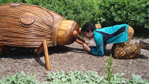 Ada Serangga Raksasa di Reiman Garden, Ohio
