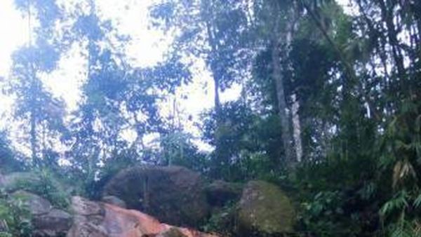 Adem Begini Lihat Curug Klenting Kuning