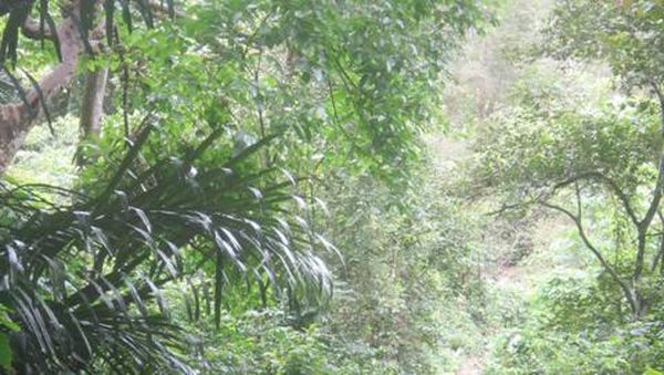 Air Terjun Biluy, Yang Segar-segar di Aceh Besar