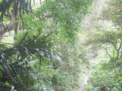 Air Terjun Biluy, Yang Segar-segar di Aceh Besar