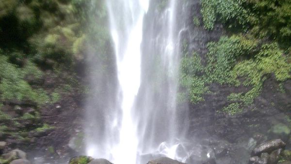 Air Terjun Coban Rondo yang Segar Dari Malang