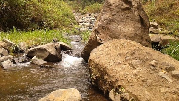 Air Terjun Madakaripura, Bagai Hujan yang Tak Pernah Reda
