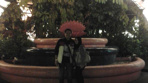 Akhir Pekan Seru Bersama Hewan Lucu di Jatim Park