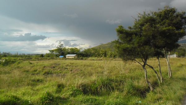 Alam Hijau Bagai Permadani di Wamena