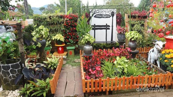 Aneka Kebun Bunga Cantik di Lembang, Buat Akhir Pekan Kamu