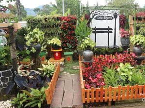 Aneka Kebun Bunga Cantik di Lembang, Buat Akhir Pekan Kamu