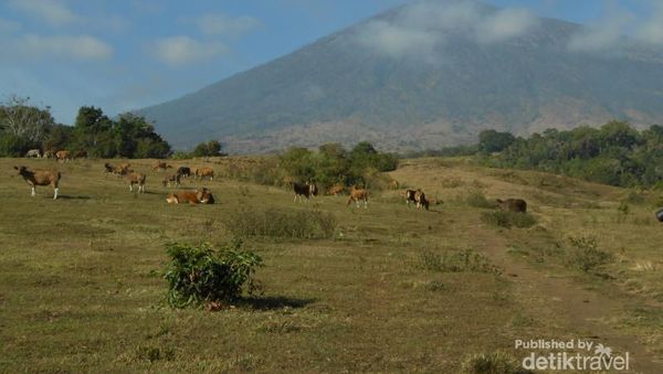 Asyiknya Mendaki Rinjani