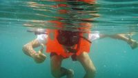 Asyiknya Snorkeling Ramai-ramai di Pink Beach