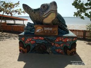 Bali Punya Wisata Konservasi Penyu Loh !