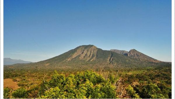 Baluran, Africa van Java