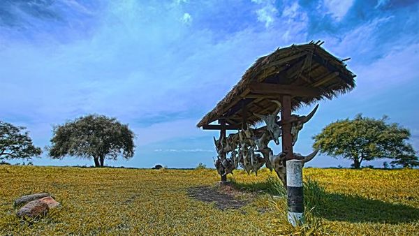Baluran, Benar-benar Rasa Afrika di Pulau Jawa