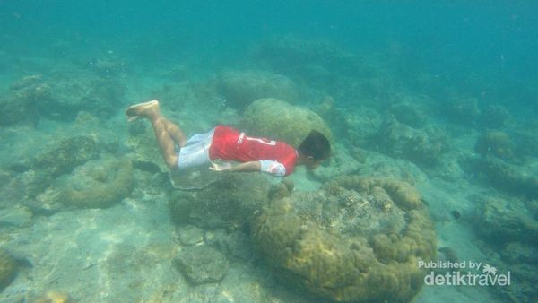 Begini Lho Indahnya Bawah Laut Pulau Tidung