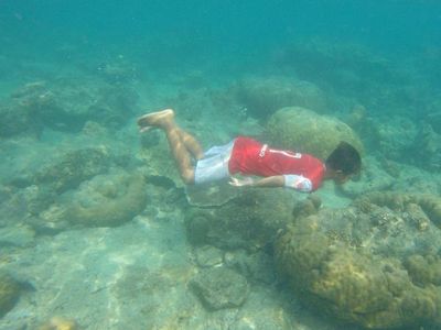 Begini Lho Indahnya Bawah Laut Pulau Tidung