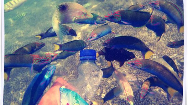 Begini Serunya Akhir Pekan di Gili Trawangan
