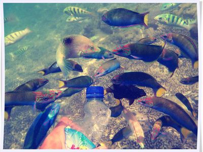 Begini Serunya Akhir Pekan di Gili Trawangan