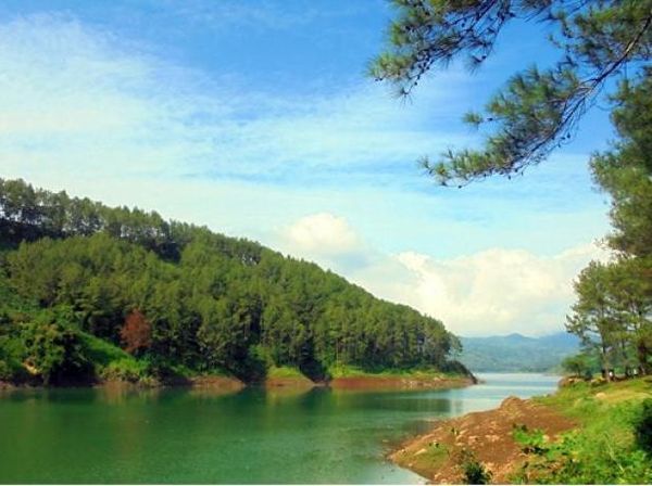 Belum Move On dari Liburan, Ayo ke Ranu Gumbolo