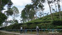 Bentuk Borobudur Ngawi Tak Seperti di Magelang