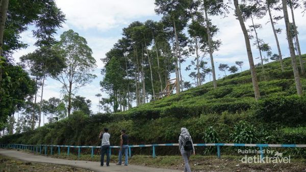 Bentuk Borobudur Ngawi Tak Seperti di Magelang