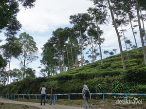 Bentuk Borobudur Ngawi Tak Seperti di Magelang