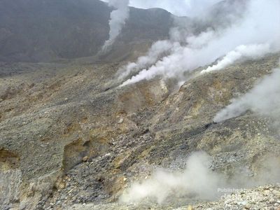 Berbagai Sisi Gunung Papandayan yang Memesona