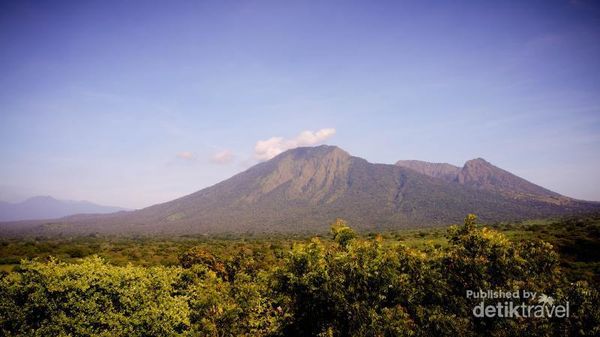 Berbagai Sisi Savana di TN Baluran