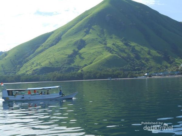Bertamu ke Rumah Komodo di Pulau Padar