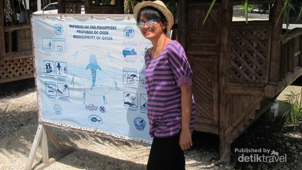 Bertemu Sang Raksasa Hiu Paus di Filipina