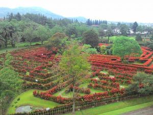Bogor dan Taman Sejuta Bunga