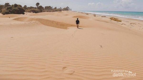 Bukan di Timur Tengah, Ini Gurun Pasir di NTT