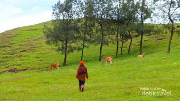 Bukan Eropa, Ini Nusa Tenggara Timur