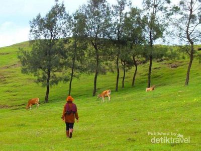 Bukan Eropa, Ini Nusa Tenggara Timur