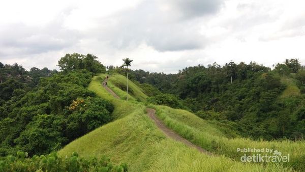 Bukit Campuhan, Spot Jogging Cantik di Bali