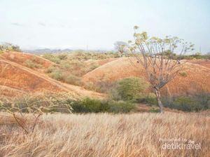 Bukit Cantik yang Selalu Bikin Rindu Kota Palu