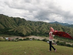 Bukit Teletubies di Tana Toraja