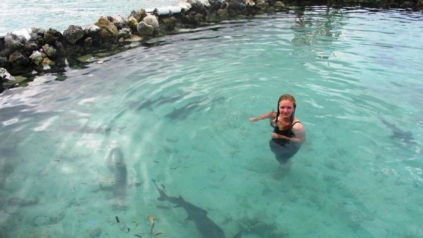 Bule Cantik Dikepung Hiu Karimunjawa!