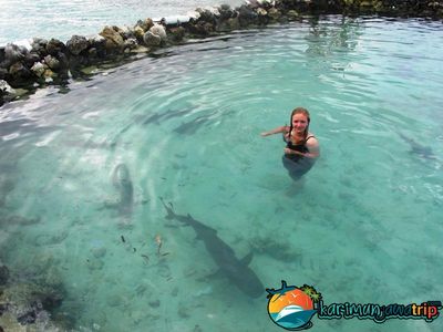 Bule Cantik Dikepung Hiu Karimunjawa!