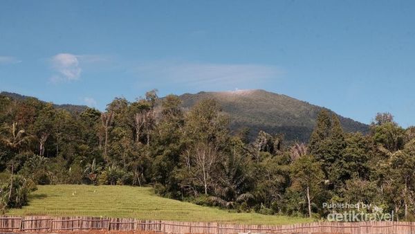Butuh yang Segar-segar? Kaki Gunung Ini Bisa Jadi Obatnya