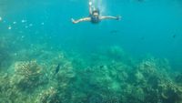 Byur! Segarnya Vitamin Sea dari Karimunjawa