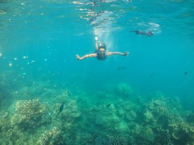 Byur! Segarnya Vitamin Sea dari Karimunjawa