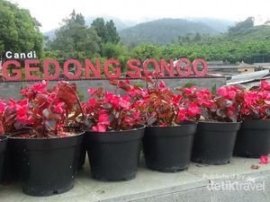 Candi Gedong Songo yang Tak Berjumlah Sembilan