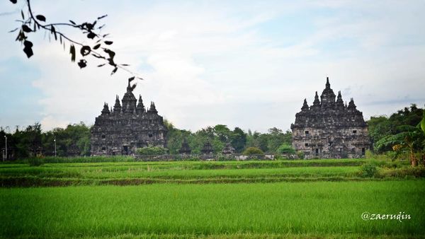 Candi Plaosan, Megah Namun Tak Terjamah di Yogyakarta