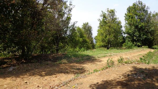 Curug Lawe, Air Terjun Dahsyat di Gunung Ungaran