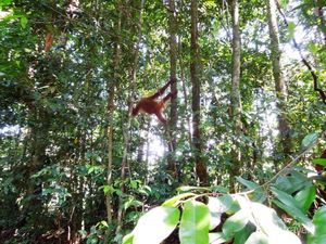 Damai, Menikmati Panorama Indah dari Ketinggian