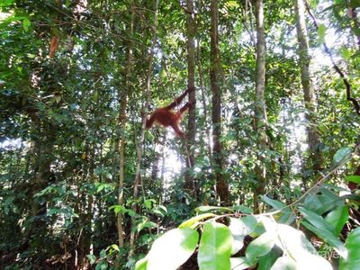 Damai, Menikmati Panorama Indah dari Ketinggian