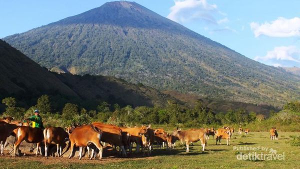 Dandaun, Satu Lagi Spot Cantik di Lombok
