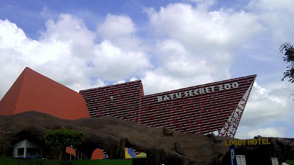 Dari Hotel Pohon Sampai Beruang Kutub, Ada di Batu Secret Zoo